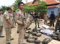 នគរបាលខេត្តបាត់ដំបងបង្ក្រាបបទល្មើសជួញដូរ និងដឹកជញ្ជូនសត្វព្រៃ រឹបអូសបានសត្វអណ្តើកនិងពស់ ជាង២០០គីឡូ