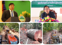 លោក ចាប សារ៉ន ពិតជាមានឥទ្ធិពលមែន ទើបអាចគៀងគរប្រជាពលរដ្ឋចូលទៅកាប់ឈើនៅព្រៃឡង់ត្រង់ចំណុចអូស្ពង់និងអូអាចម៍ដែកអាជ្ញាធរនិងសមត្ថកិច្ចពាក់ព័ន្ធមិនហ៊ានបង្ក្រាប!