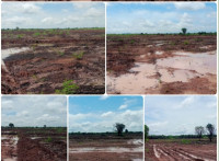 មានការឈូសឆាយទន្ទ្រាន ដីព្រៃលិចទឹក ក្នុងតំបន់៣ នៅស្រុកជលគិរី យកមកធ្វើកម្មសិទ្ធផ្ទាល់ខ្លួន